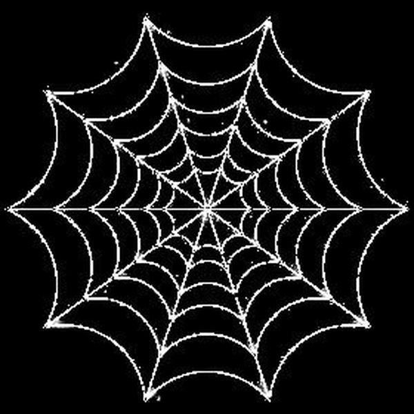 Spiderman toile 🕸️
